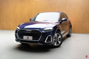 Q5 PERFORMANCE 2.0 55 TFSI E
