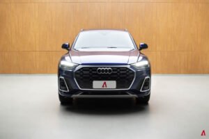 Q5 PERFORMANCE 2.0 55 TFSI E