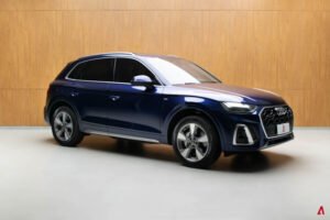 Q5 PERFORMANCE 2.0 55 TFSI E