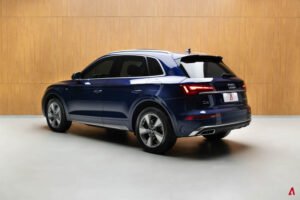 Q5 PERFORMANCE 2.0 55 TFSI E