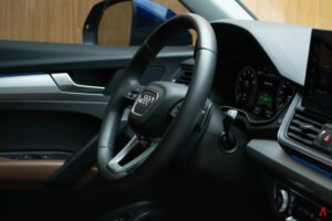 Q5 PERFORMANCE 2.0 55 TFSI E
