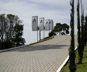 LOJA (56)-2